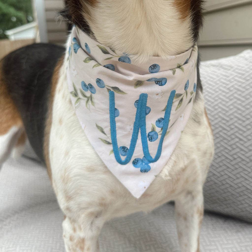 Blueberry Dog Scrunchie Bandana